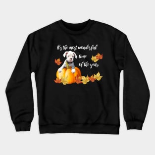 Fall Leaves, Halloween White Boxer Puppy Crewneck Sweatshirt